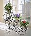 3-Tiered Metal Plant Stand Flower Pot Rack Garden Patio Standing Plant Display Stand, Blackthumb 1