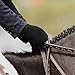 FitsT4 Horse Riding Gloves Equestrian Outdoor Breathable Stretchable Horse Show Glove for Women Men