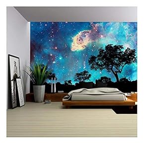 Night Landscape with Silhouette of Trees and Starry Night - Removable Wall Mural | Self-Adhesive Large Wallpaper - 66x96 inches
