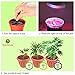 SunGrow Hydroponic Light, 12-watts, 110-volts, Grow Plants Without Soil, Energy-Efficient, Used in Indoor Flower Gardens, Nurseries, Hydroponics, Greenhouses