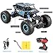 ZJTL Remote Control Toy Blue Rally Buggy RC Car 2.4Ghz 4 WD High Speed Crawler 1:18 Scale Size w/ Working Suspension, Spring Shock