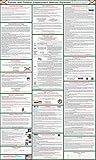 2017 (SPANISH) Florida State and Federal Labor Law Poster - Laminated 24