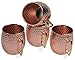 Kangaroo Copper Plated Stainless Steel Mug Brass Handle