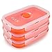 Kuuk Collapsible Silicone Food Container