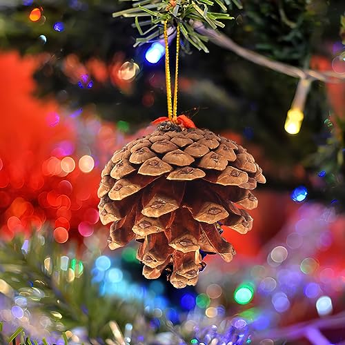 JOHOUSE 30PCS Christmas Pine Cones, Natural Pinecones for Crafts Assortment Rustic Pine Cones for Decorating Christmas Winter Holidays Table Bowl Fillers