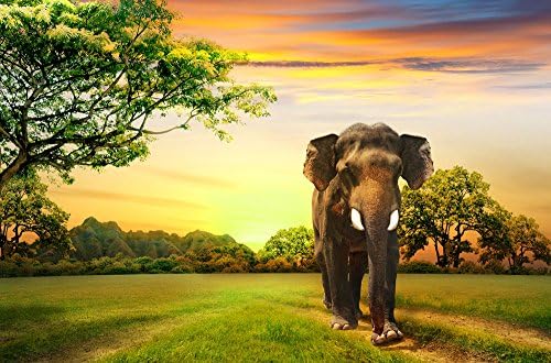 Wooden adult puzzle Wild Elephant African Grassland 500-Piece Puzzle