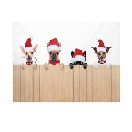 Amazoncom Christmas Photography Background Group Of