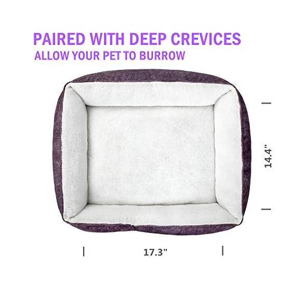 Comfortable Square Pet Bed Simple Design - Image 6