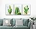 Canvas Wall Art Cactus Picture Canvas Prints Desert Plant Painting Stretched and Framed Ready to Hang for Home Office Wall Decor 12x16inchx3panels