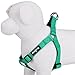 Blueberry Pet Essentials Step-in Dog Harness, Medium Size | Adjustable Emerald Vest | Classic Solid Nylon for Boy & Girl Dogs, Chest Girth 20