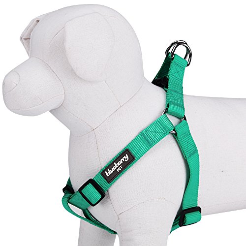 Blueberry Pet 12 Colors Step-in Classic Dog Harness, Chest Girth 20" - 26", Emerald, Medium, Adjustable Harnesses for Dogs