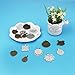 Accmor 32 Pcs 8 Styles Pendant Trays Include Round, Square, Heart, Teardrop, Wings, Flower, Chaplet, Star Circle Pendant Bezel with 32 Pcs Glass Cabochon Dome Tiles for Crafting DIY Jewelry Making