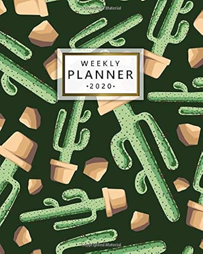 Download 2020 Weekly Planner: Potted Saguaro One Year Weekly Planner, Diary & Organizer with Vision Boards - Nifty Daily Schedule Agenda with Inspirational ... Holidays & Notes - Desert Cactus Pattern PDF