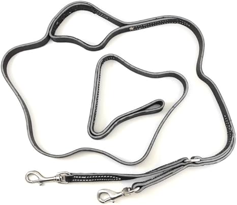 Prong leash Clearance