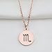KUIYAI Zodiac Pendant Necklace Rose Gold Disc Horoscope Necklace Birthday Gift (Scorpio RG)