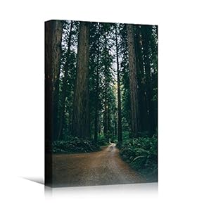 signwin Canvas Wall Art Green Forest Dramatic Forest...