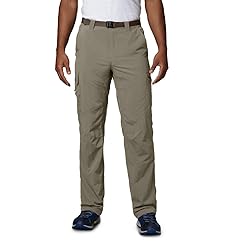 Columbia Men's Silver Ridge Cargo Pant, Tusk, 34W x