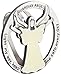 Light My Way Guardian Angel Auto Visor Clip, Glow in the Dark, Gifts for Drivers, 1 7/8-Inches, by Abbey & CA Gift