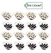 PARTY BARGAINS Angled Plastic Bowls - [8 Pack] Clear, Heavy-duty Premium Quality Small Serving Bowl, Excellent for Weddings, Baby & Bridal Showers, Parties & More