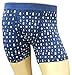 Pact Men's Organic Cotton On The Road Again Boxer Brief - SFA-MBB