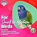 Super Bird Creations SB741 Seagrass Mini Activity Wall with Colorful Foraging Toys for Parrots, Medium Size, 9” x 7” x 2”