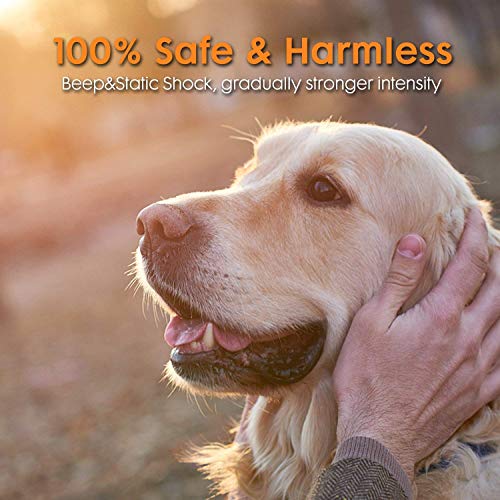 YHPOYLP 100% Wireless Dog Fence System Outdoor Invisible Pet Containment System,Rechargeable &Waterproof,with Tone、Vibration and Shock,Safe & Easy Install