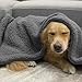 Allisandro Premium Fluffy Dog Blanket Soft And Warm Fleece Blanket for Pet and Throw Cute Paw Print Puppy Cat Blanket Durable and Washable Five Color Three Size Avaiable