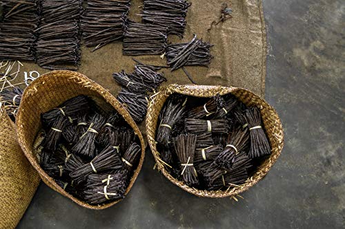 Madagascar Vanilla Beans - Organic Bourbon Grade A. Great for Baking, Homemade Extract, vanilla paste, Brewing, Coffee, Cooking etc. Average length 6-7 inches. (1 Bean)
