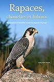 Rapaces, chouettes et hiboux: Reconnaître et identifier toutes les espèces d'Europe (French Edition) by