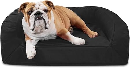 Amazon Com K9 Ballistics Tough Orthopedic Dog Bed Small Nearly Indestructible Chew Proof Washable Ortho Pillow For Chewing Puppy For Small Dogs 24 X18 Tan Pet Beds Pet Supplies