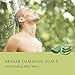 Tree to Tub Lavender Dry Hair Shampoo for Sensitive Scalp - Gentle Hydrating Dry Scalp Shampoo for Women & Men, Moisturizing Sulfate Free Shampoo w/Organic Argan Oil, Chamomile, All Natural Aloe Vera