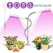 LED Grow Light for Indoor Plant,Elaine 45W 88 LED Timing Grow Lamp Auto On/Off with 3/6/12H Timer 5 Dimmable Levels 3 Switch Modes Red/Blue Full Spectrum,Adjustable Gooseneck (Red/Blue Spectrum)