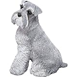 Sandicast Original Size Gray Schnauzer Sculpture - Sitting