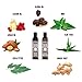 Viking Revolution Beard Shampoo and Conditioner Set - Top-tier Beard Care Kit with Argan & Jojoba Oils for Healthy Beard Growth, No Itching or Irritation, Rich Lather, Eucalyptus Scent (10 oz)