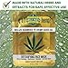 Belize Seaweed Face Mask with Pure Hemp Seed Oil – 6 Pack Bundle