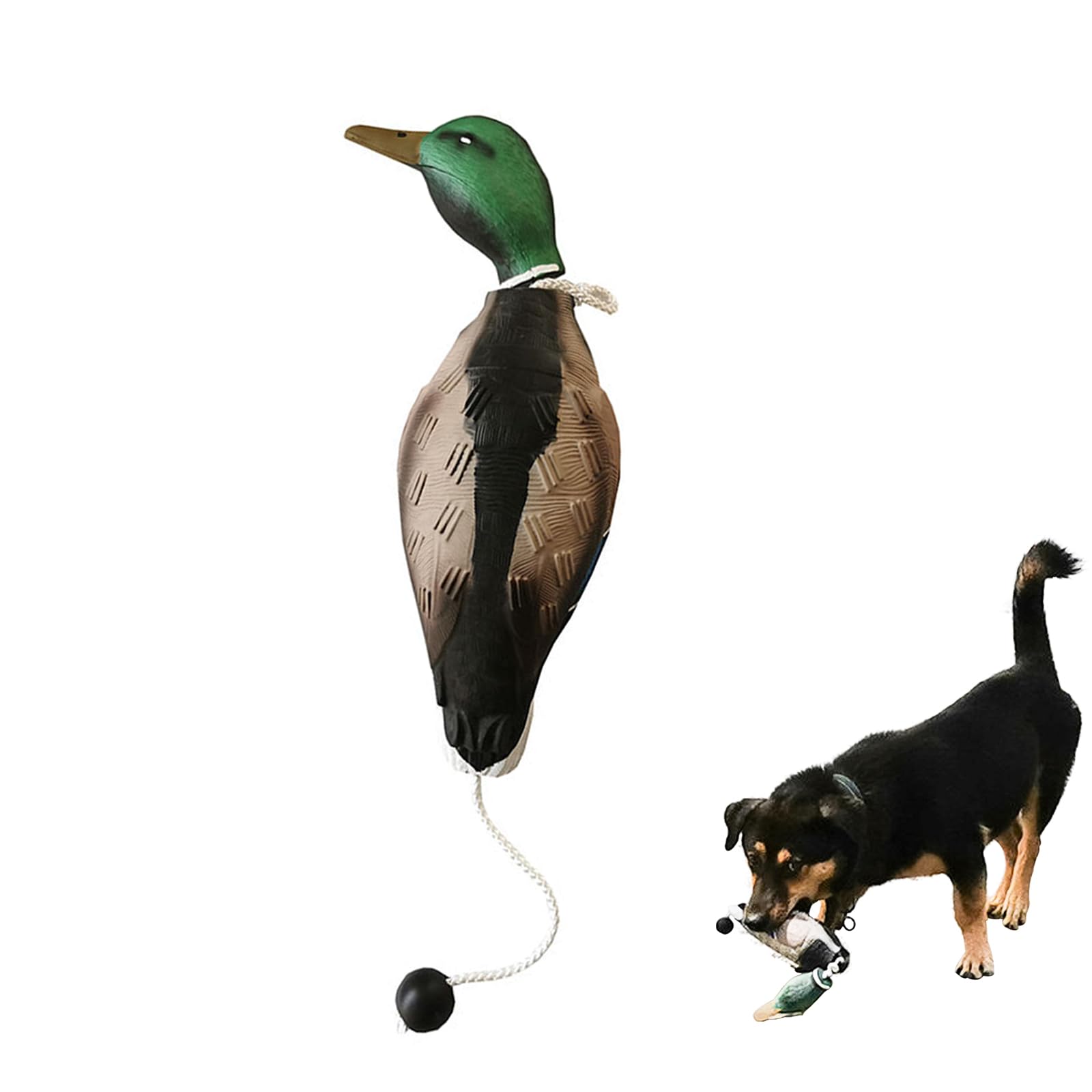 MR.HOKWY Dog Training Duck Dummy- EVA Material Trainer with Throwing Toggle, Dog Retrieval Training Toys Bird Dummy Mallard Mimics Duck Bumper Toy for Puppies or Adult Hunting Dogs