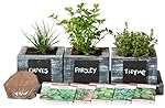 Herb Garden Planter by Planter Pro's - Complete Herb Garden Kit - Indoor Garden Seeds Growing Kit - Grow Cooking Herbs Basil, Chives, Oregano, Parsley & More - Cedar Wood Planter