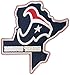NFL City Pin