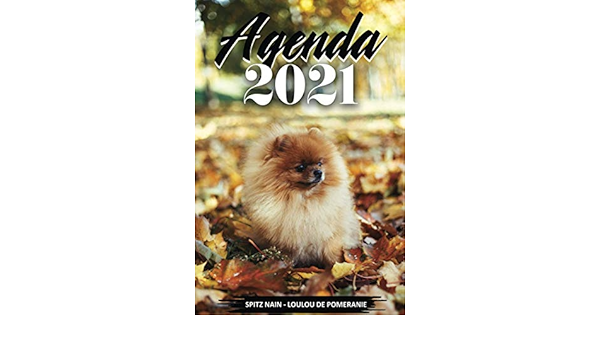 Agenda 21 Chiens Spitz Nain Loulou De Pomeranie Annee 21 De Janvier A Decembre 21 2 Jours Par Page Calendrier Format A5 Idee Agendas Spitz Nain 21 French Edition Woof Dogs Agendas Amazon Com Books