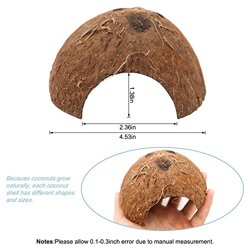 Hermit Crab Shells/Turbo Shells/15Pcs Assorted Turbo Shells and 1Pcs Natural Coconut Hide Reptile Hideouts/Seashell Opening Size 0.78\