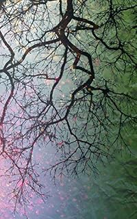 Livro Fractal (Mundos possíveis)