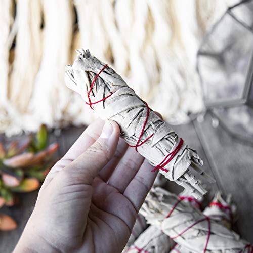 Beverly Oaks California White Sage 4" Smudge Stick, Perfect for Smudging, Meditation, Protection and Incense, 20 Pack