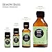 Edens Garden Basil- Lemon Essential Oil- 100% Pure Premium Grade, Undiluted, Natural, Therapeutic, Aromatherapy, The Best for Diffuser, Candle, Laundry, Humidifiers 10 ml (.33 fl oz)