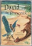 David and the Phoenix
