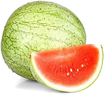 AllThatGrows Green Round Water Melon Seeds, Watermelon Fruit Seeds Pack of 20 Seeds