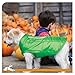Kurgo Loft Dog Jacket - Reversible Fleece Winter Coat - Cold Weather Protection - Wear With Harness Or Additional Layers - Reflective Accents, Leash Access, Water Resistant - Grass Green/Charcoal, M