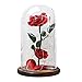 Autoday USB Beauty and The Beast Preserved Fresh Rose Flower Light Fallen Petals in a Glass Romantic Wooden Base Valentine's Day Birthday Anniversary (5.75.79