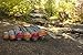 TETON Sports ComfortLite Sleeping Pad; Sleeping Mat for Camping and Backpacking