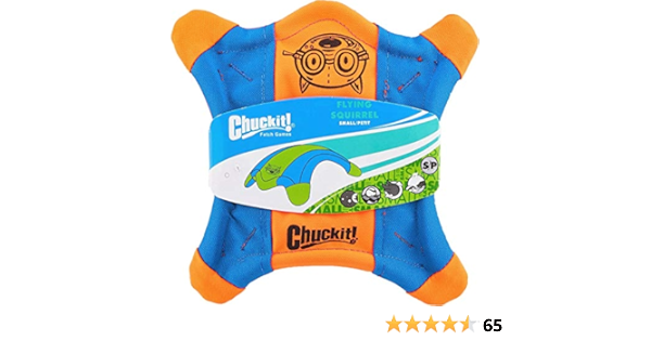 flying squirrel frisbee