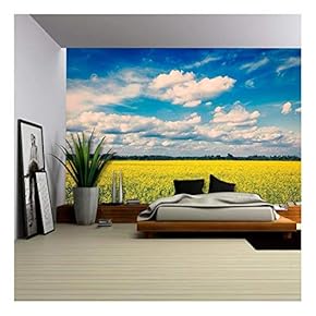 Spring Summer Background - Vintage Retro Effect Filtered Hipster Style Image of Yellow Canola Field with Blue Sky - Removable Wall Mural | Self-Adhesive Large Wallpaper - 66x96 inches